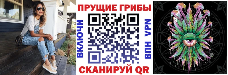 Купить где  Полесск  Галлюциногенные грибы Magic Shrooms 